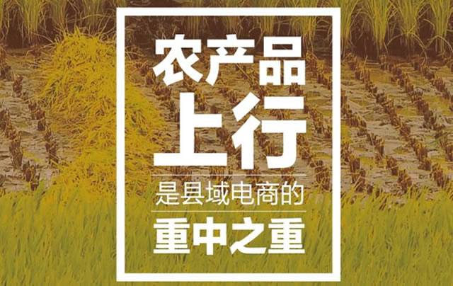 大宗農(nóng)產(chǎn)品上行外銷(xiāo)